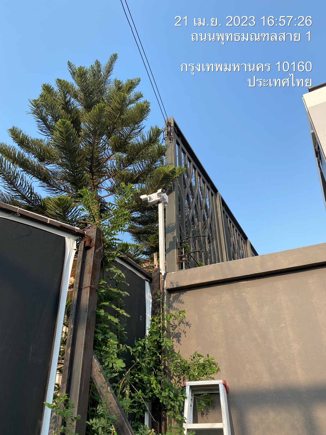รูปที่ 1